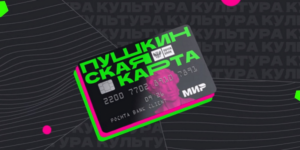 На Кубани горе-предприниматель обчищал «Пушкинские карты»