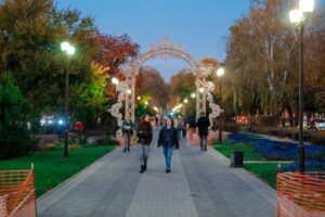 Зимняя сказка, кружево и звезды. В центре Краснодара начали монтаж новогодних световых арок