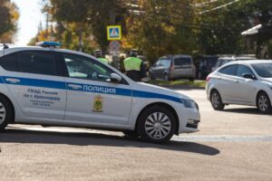 Житель Кубани сделал подкоп в питомник ради кражи 40 туй