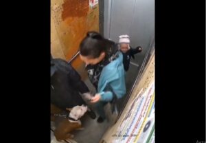 Бойцовый пес напал на женщину с ребенком в лифте высотного дома в Краснодаре
