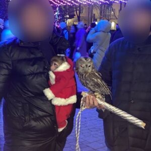 Фотоживодеры использовали обезьяну в костюме Санта Клауса в Краснодаре