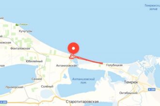 Орнитологи назвали оптимальное место выпуска спасенных от мазута птиц на Кубани