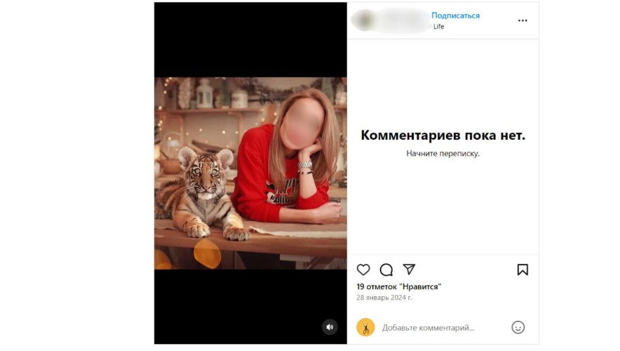 Моя собственность: житель Кубани намерен вернуть тигрицу Лауру, которую держал на цепи в сарае