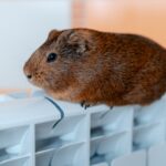 Плюс 25%: жители Краснодара получили огромные счета за отопление