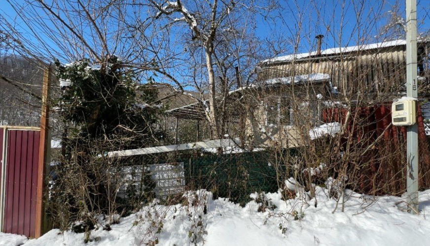 Хаски, содравшие лицо ребенку, держали в страхе весь поселок в Сочи