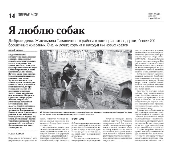 Ад для животных: десятки трупов и факты каннибализма обнаружены в приютах Кубани