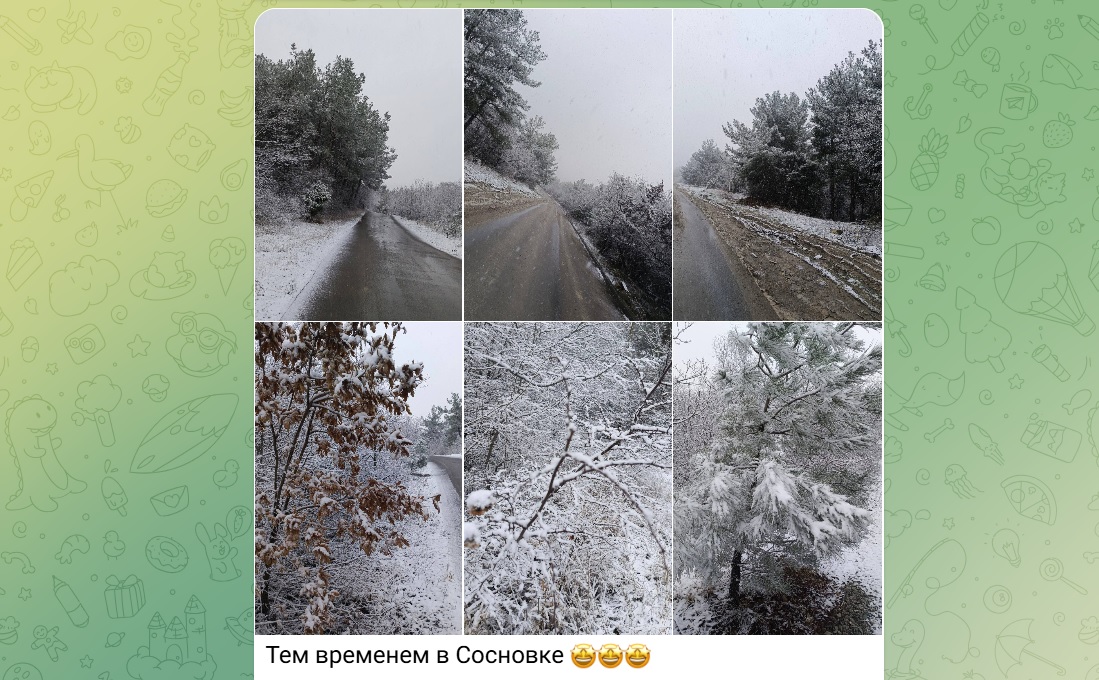 Пальмы под снегом, дороги под водой: как побережье Кубани переживает циклон