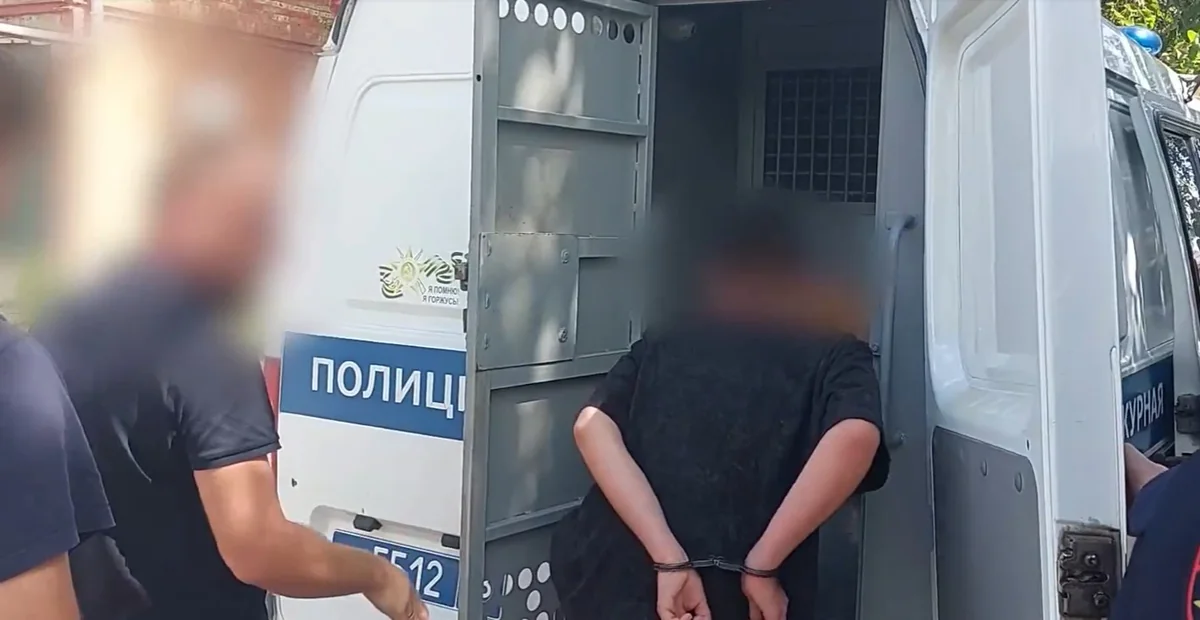 Задержание поджигателя