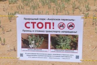 табличка стоит на пляже