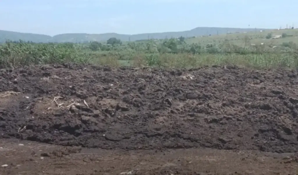 загрязнение почвы