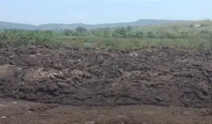 загрязнение почвы
