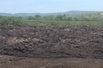 загрязнение почвы