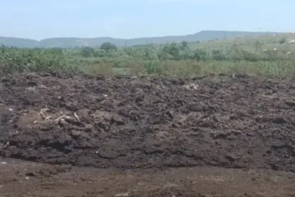 загрязнение почвы