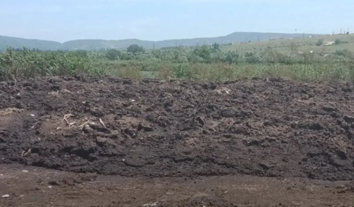 загрязнение почвы
