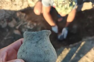 Археологические находки в Успенском районе