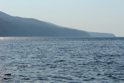 Главная