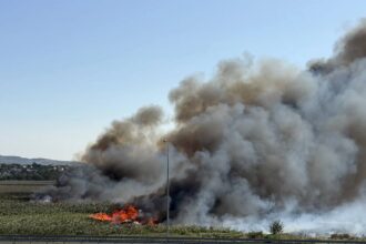 Пожар под Анапой