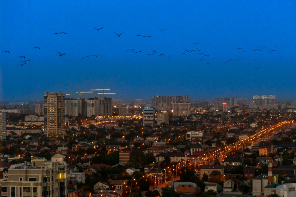 Главная