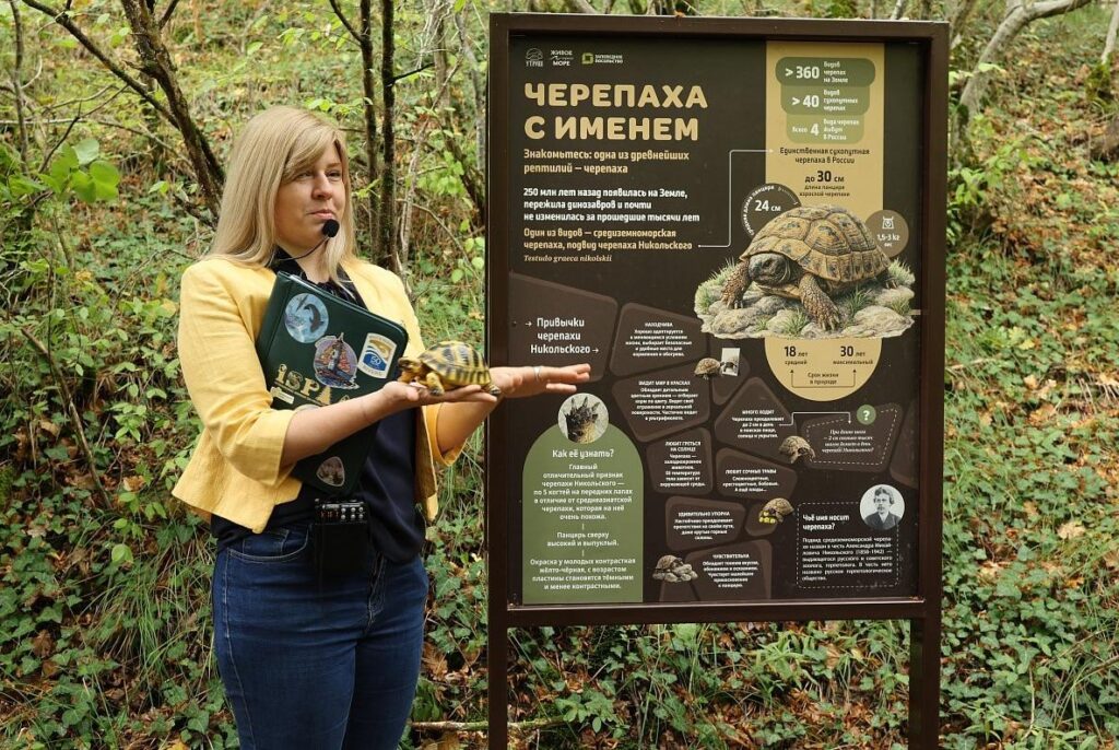 Главная